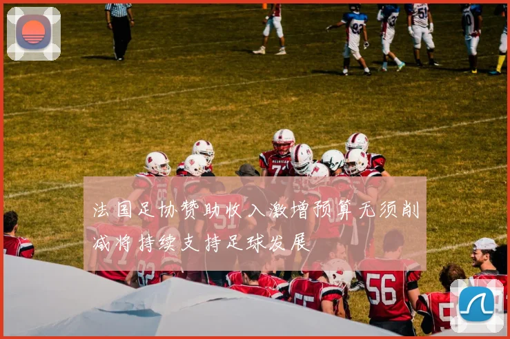 法国足协赞助收入激增预算无须削减将持续支持足球发展